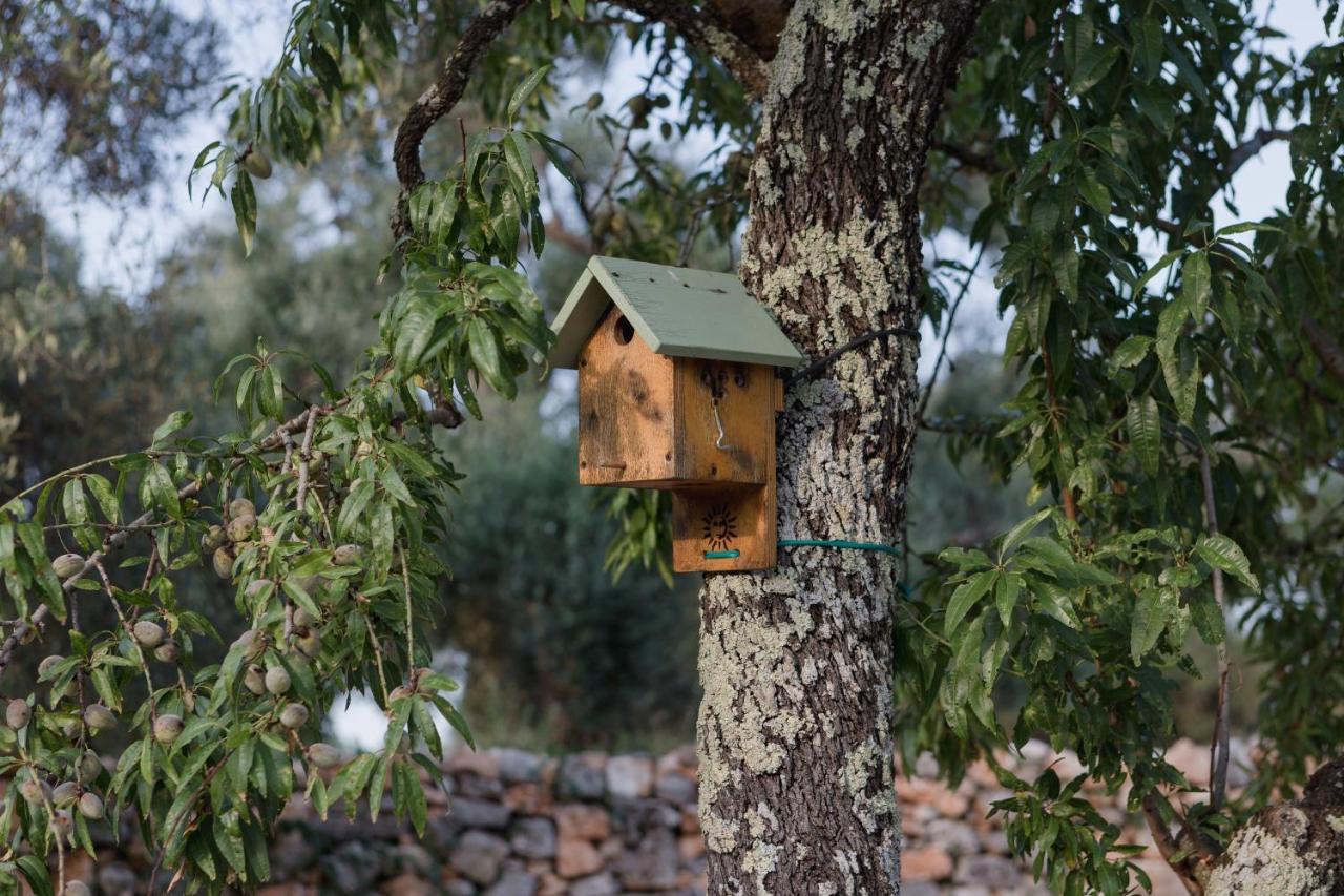 Anima B&B Ceglie Messapica Buitenkant foto