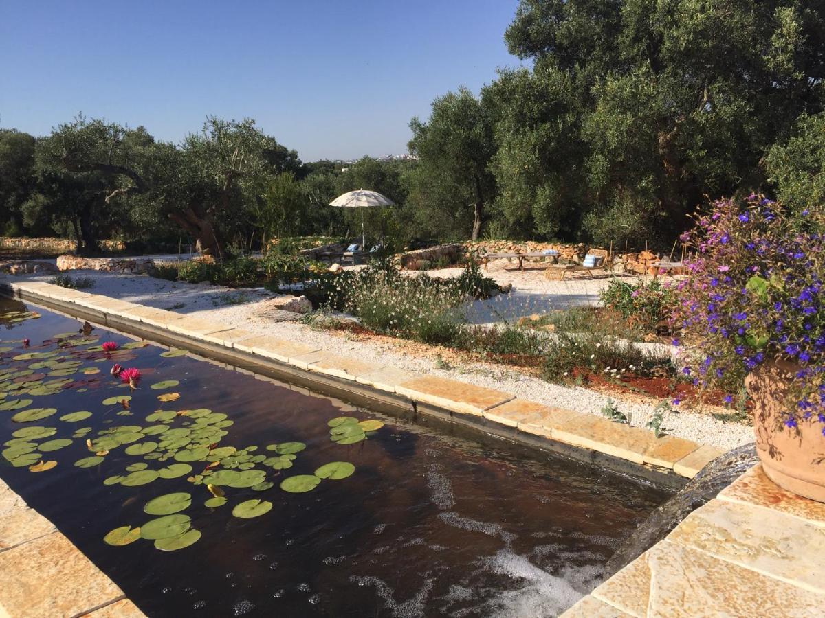 Anima B&B Ceglie Messapica Buitenkant foto